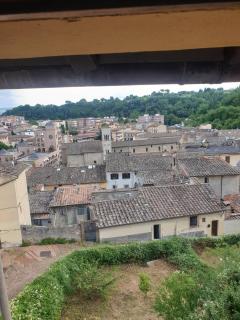 Sebastiano - Colle di Val d'Elsa - 4