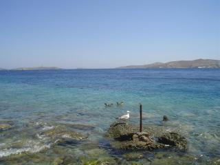 Villetta IRENULLA - 7