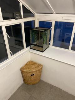Charming 3-Bed Apartment in London - Hendon - 3