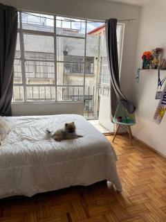 Apartamento tranquilo en zona familiar - Città del Messico - 4