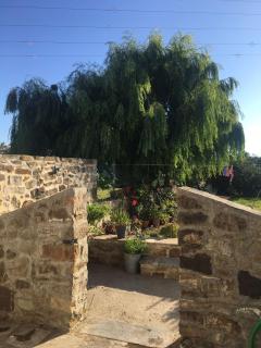 Apartamento Las adelfas - Tarifa - 8