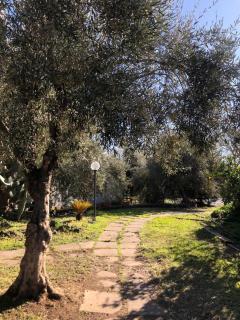 Casa Vacanza L'ulivo - 0