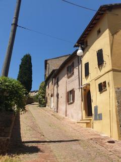 Sebastiano - Colle di Val d'Elsa - 9