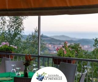Azienda Agrituristica Le Prunelle - 1