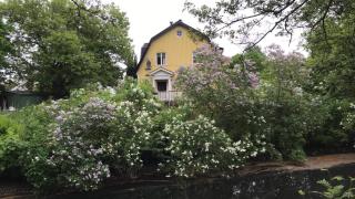 Solhuset intill ån - Alingsås - 0