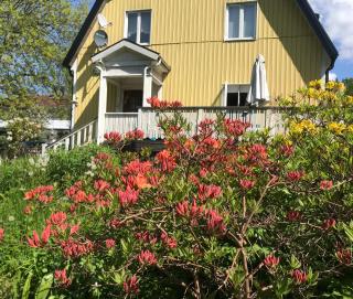Solhuset intill ån - Alingsås - 9