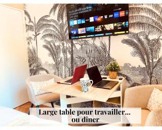 Chambre Cosy chez l habitant avec salle de bain et jardin privé - 2