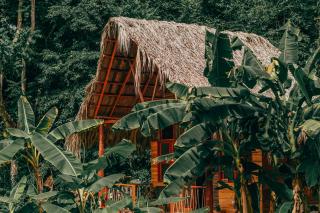 Magic Green Dentro del Parque Tayrona - 7