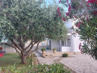 Apartment in Vir mit großer Terrasse - Vir - 7