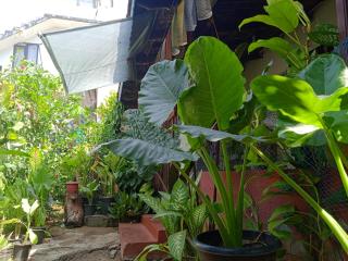 Blues - Alleppey - 0