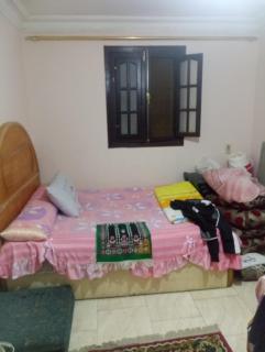 انت في قلب الحدث - Kairo - 3