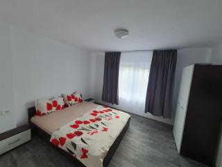 GMV House - Călimăneşti - 6