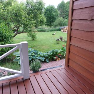 Storchenwiese Wald Meer Natur - 7