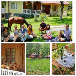 Guest house Lailashi - Surmushi - 0