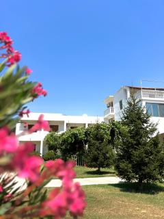 ArtTaverna - Donji Štoj - 8