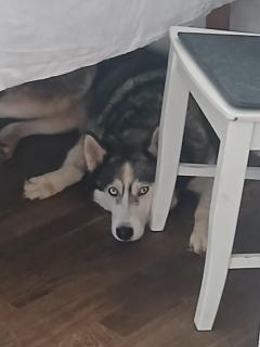 Privatgästezimmer Familie Fröhlich - 3