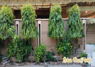 Lotus One Hotel - Lahore - 4
