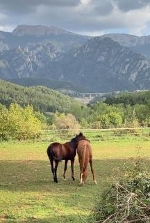 Alberg rural torre del baró - San Lorenzo de Morunys - 1