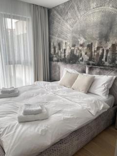 Apartament in zona business Bucuresti - Bucharest - 6