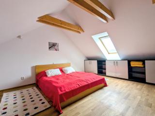 Baron Apartments Sušice - Sušice - 8