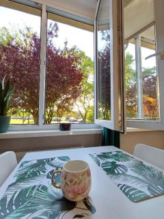 Apartament Stella - 3