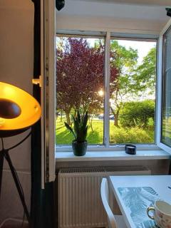 Apartament Stella - 1