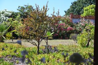 Villa de Gracia Casa 3 - Tordera - 3