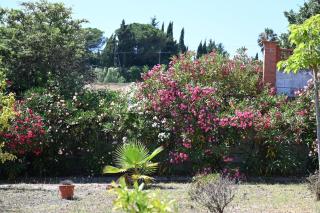 Villa de Gracia Casa 3 - Tordera - 2