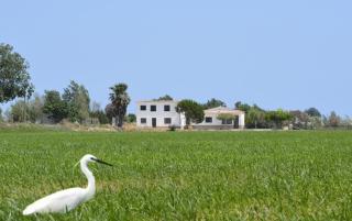 Casa Lo Fangar - Delta de l'Ebre 1 Habitació Doble 1 llitera - Deltebre - 9