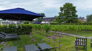 Abalona Hotel & Apartments - Dendermonde - 8