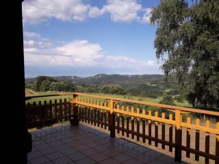 Chalet 3 chambres point de vue depuis la grande terrasse - 7