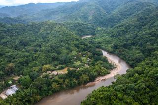 ONE Santuario Natural - Palomino - 1