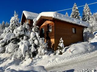 Chalet Berghaus Rusch - Blaichach - 1