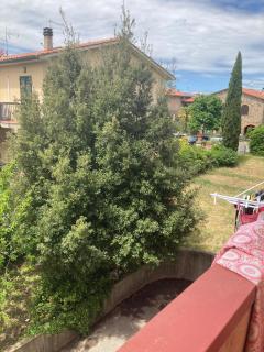 La Rosa della Val D'Orcia - 2