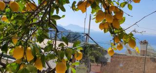 vesuvius house - Pagani - 8