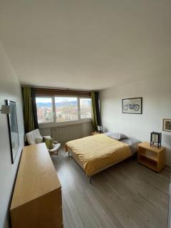 Geneva Residences - Cozy apartment close to UN - Ferney-Voltaire - 4