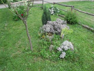 Gîte à la ferme en Bas Quercy - Durfort - 5
