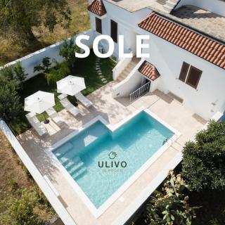 Ulivo di Rocco apartments - Cannole - 7