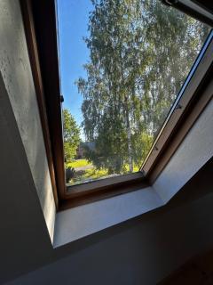 Tamme kodumajutus - Pärnu - 2