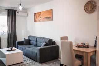 Apartman Centar - Doboj - 8