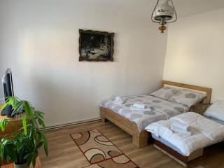 Casa Crisan - Topliţa - 3