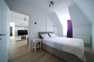 Cosy Penthouse - Oradea - 2