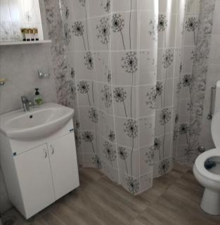 HiT apartmani Pačir2&3 - Pačir - 6