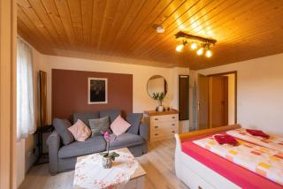 Ferienhof-Gerda-Ferienwohnung-Schwalbennest - Oberkirnach - 0