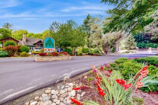 Luminous Pine Hideaway - Valle Crucis - 4