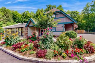 Luminous Pine Hideaway - Valle Crucis - 3