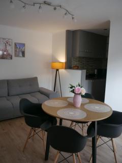 Free Garage in the Center-Delicia 4 Studio! - Sibiu - 0
