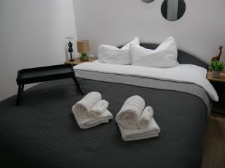 Free Garage in the Center-Delicia 4 Studio! - Sibiu - 7