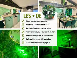 l'Atypique Jungle - Hyper Centre - Refait à neuf - 8