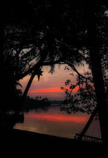 A Glass Haven on the tranquil Munroe Islands - Kollam - 6